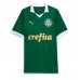 Maglie da calcio Palmeiras Estevao Willian #41 Prima Maglia 2024-25 Manica Corta